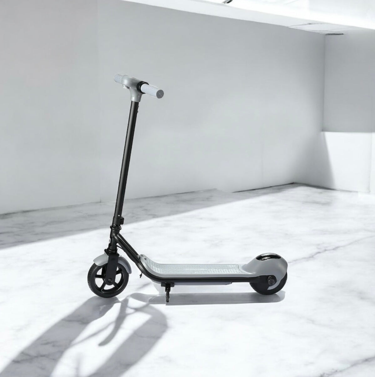 Electric Scooter 110w (B41)