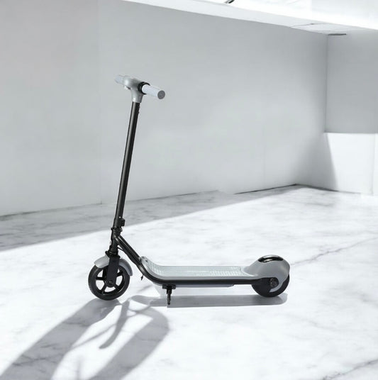 Electric Scooter 110w (B41)