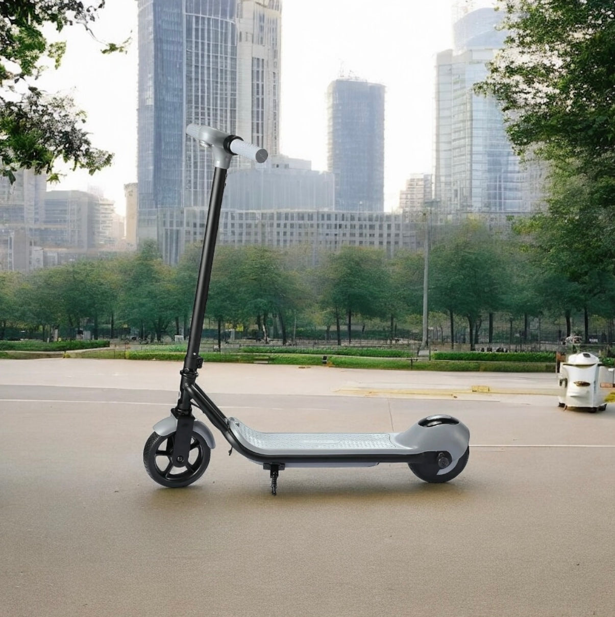 Electric Scooter 110w (B41)
