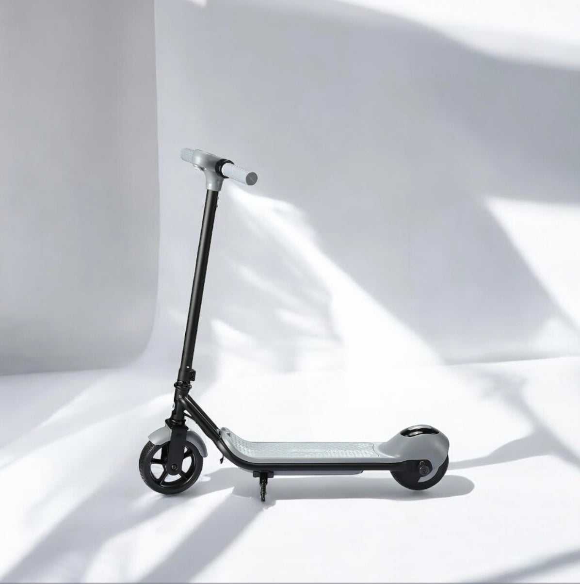 Electric Scooter 110w (B41)