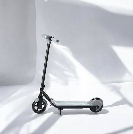 Electric Scooter 110w (B41)